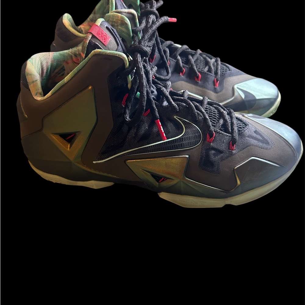 Nike LeBron 11 kings pride Sz 12